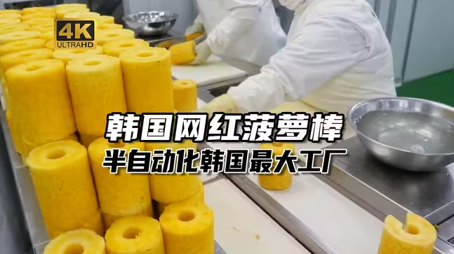 把菲律宾菠萝卖到韩国加工成棒子就能赚很多钱这件事-华闻时空