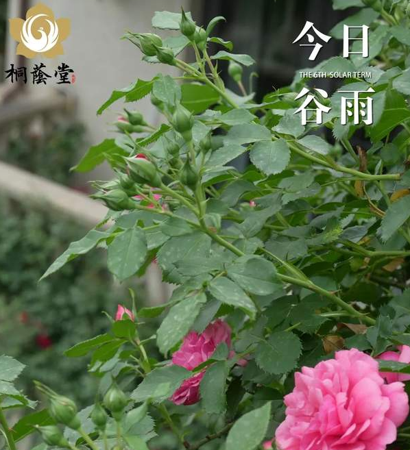 九年之约 来自母亲的家书于谷雨-华闻时空