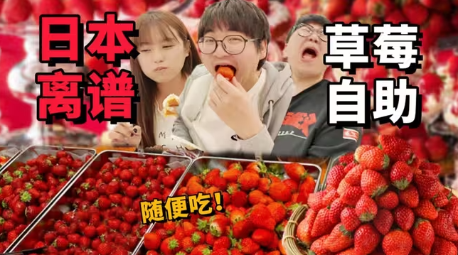 日本离谱草莓自助！天价水果能吃回本吗？-华闻时空