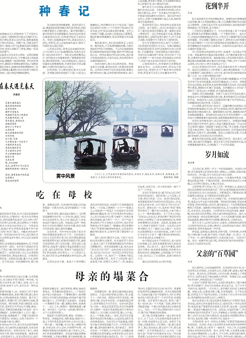 母亲的塌菜合-华闻时空