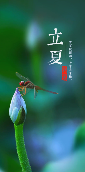 姜敏达诗歌欣赏：立夏-华闻时空