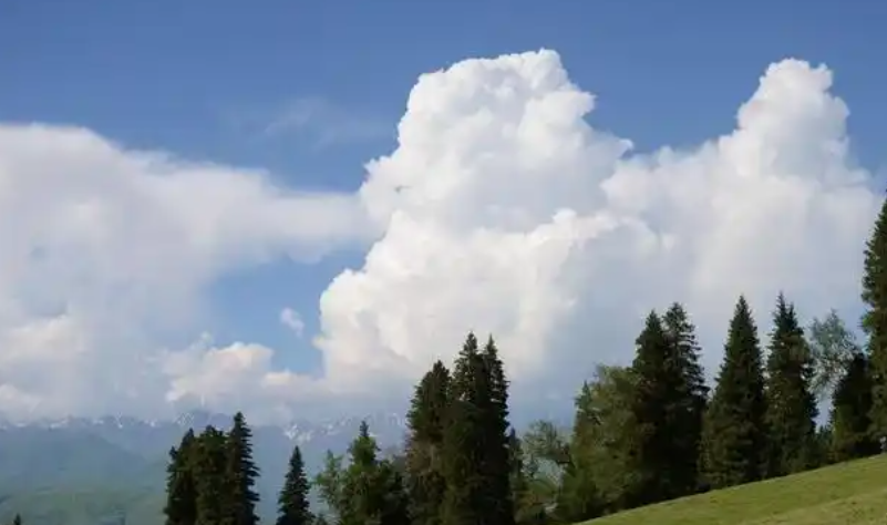 时间都去哪儿了——“买姜记”-华闻时空