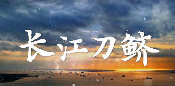 中国电视-《长江刀鲚》-华闻时空