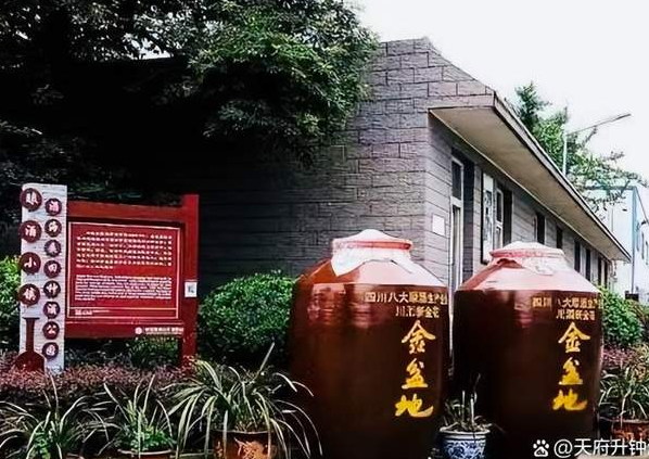 褚成炎|成都金盆地酒业集团第十一届种酒节专题-华闻时空