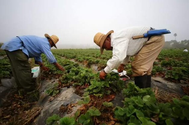 川普暂停打击无证移民？移民工人：虚假的安全感！-华闻时空
