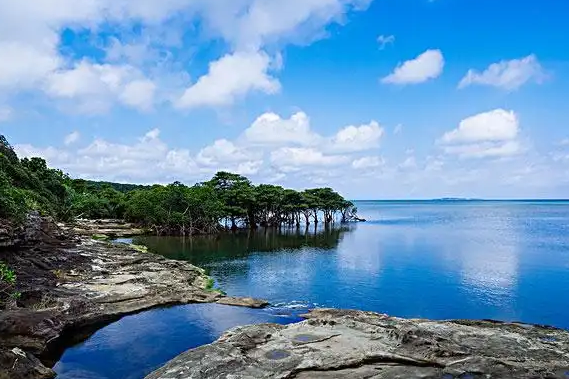 姜敏达诗歌欣赏:温州,又见瓯江-华闻时空