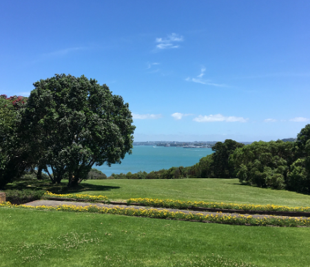 齿序科技：当多学科AI智能体叩开千亿正畸市场的大门，构建全球华人数智口腔生态圈-华闻时空