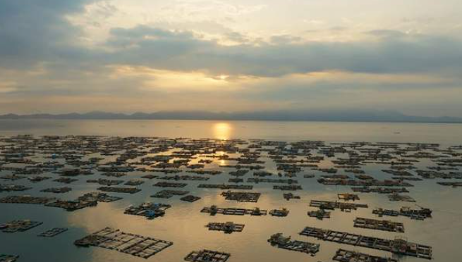 中国电视-《自然中国》之《向海而行》:人与自然和谐共生的细腻叙事-华闻时空