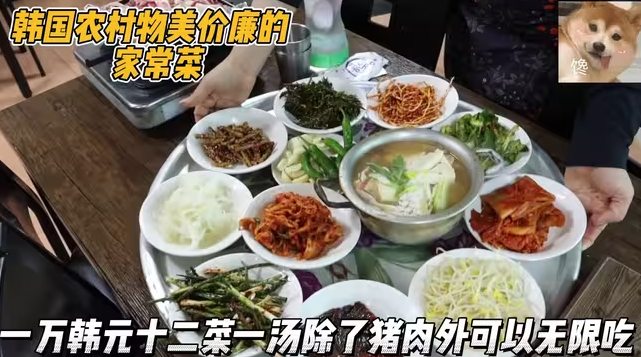 韩国农村物美价廉的套餐，人均一万韩元吃十二菜一汤，还有烤猪肉-华闻时空