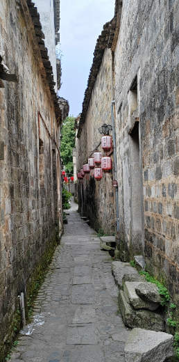 姜敏达诗歌欣赏: 《故乡小巷》（外一首）-华闻时空