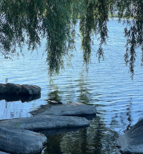 原载《新民晚报》-华闻时空