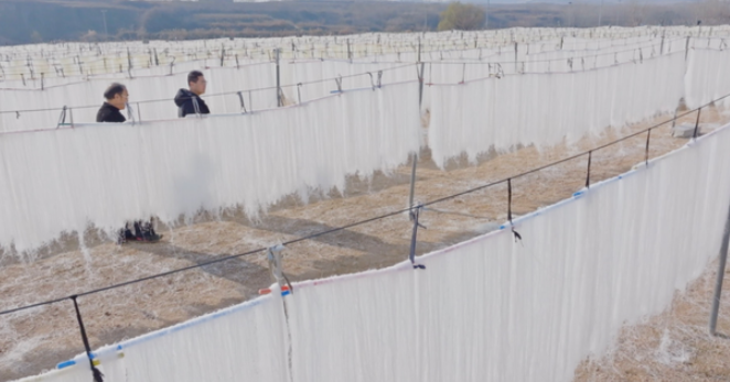 中国电视-《农耕春秋——时和岁丰》：水墨丹青里的粉脉传承-华闻时空