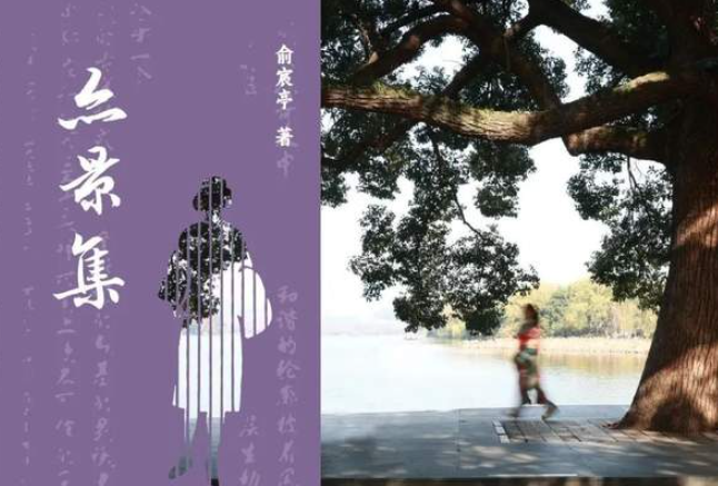 俞宸亭个人散文集《亦景集》新书预售,提前一周启动啦!-华闻时空