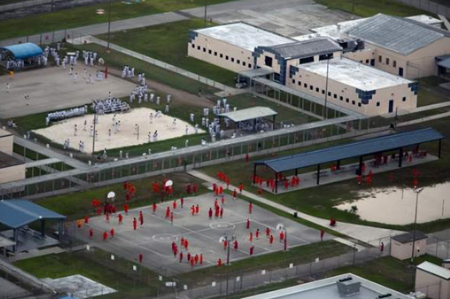 ICE强硬执法导致“人道灾难”？无证移民像狗一样吃饭、女士被迫当众如厕…天呐！-华闻时空