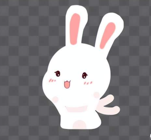 兔年说兔-华闻时空