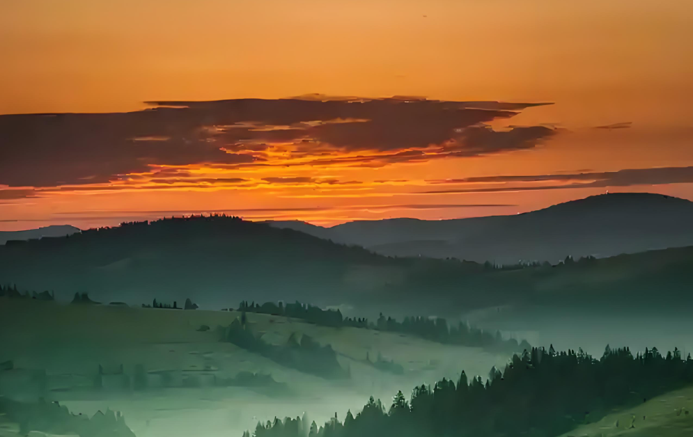 浙江财经大学、浙商资本市场研究院到访我会共商合作与服务-华闻时空