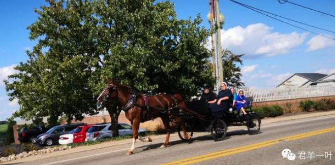 走近 Amish，美国的桃花源人？-华闻时空