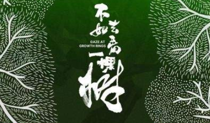 中国电视-《不如去看一棵树》-华闻时空