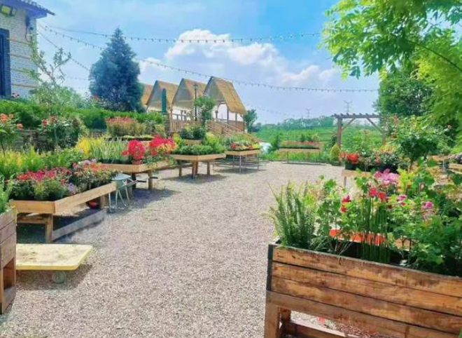 “燃创乡村 携手共富”首届青年入乡创业项目展播㉛:“一舍繁花”邀你绽放慢时光-华闻时空