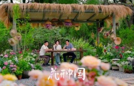 中国电视-《花开中国》-华闻时空