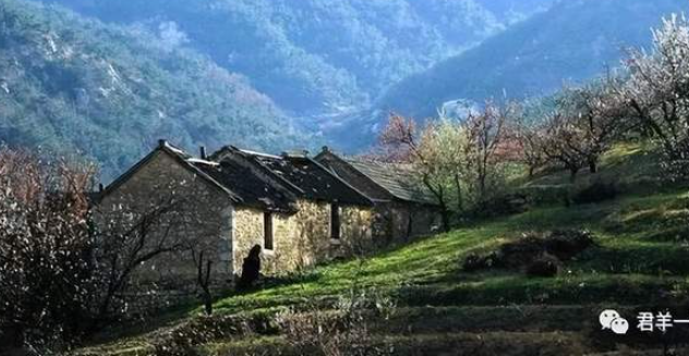 归 隐-华闻时空