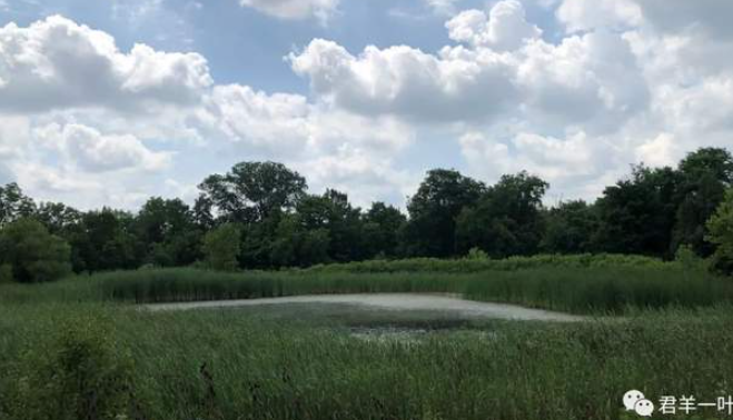 一池仙子-华闻时空