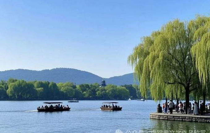 散文随笔|西湖赏荷-华闻时空