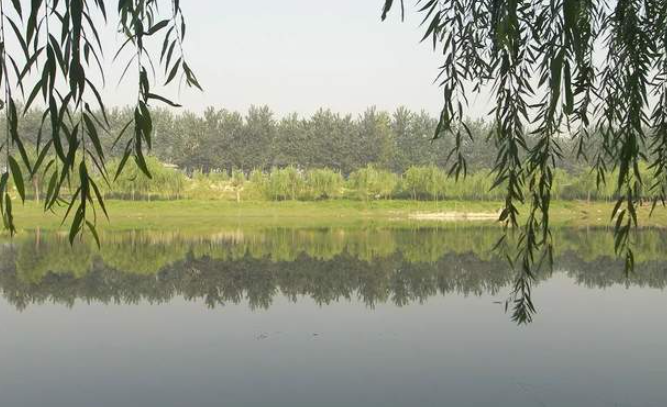 艺文 | 任启亮：村前那条河-华闻时空