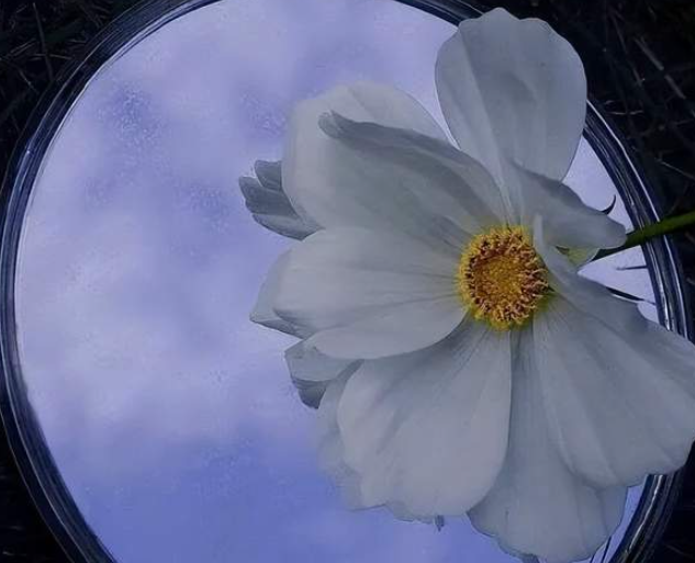 吴群：说说“忙”-华闻时空