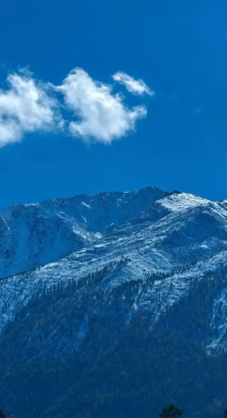 赵麟斌：老树新枝-华闻时空