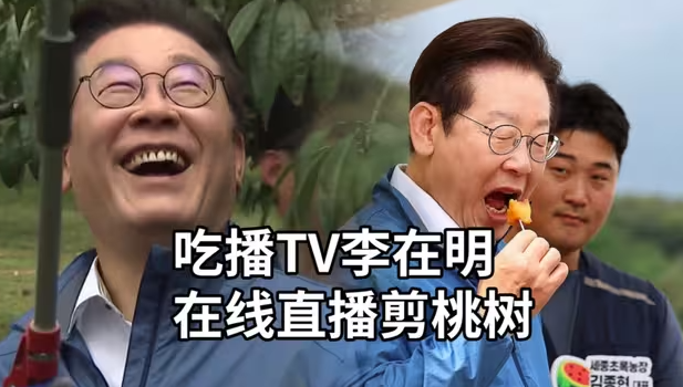 南韩第一吃播王李在明再度上线 体验剪桃树尝尝鲜-华闻时空