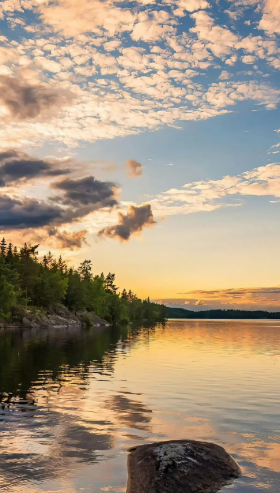 姜敏达诗歌欣赏:今夜,风吹向我-华闻时空