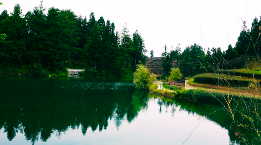 张亚明纪实创作的成就与特色——以“地矿报告”与“乡土散文”为例-华闻时空