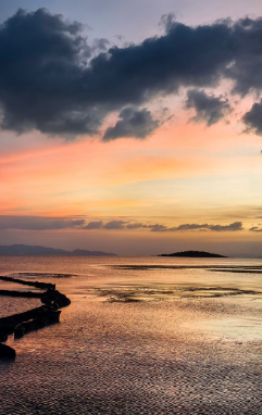 赵麟斌:老树新枝-华闻时空