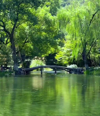 陈忠慧·《距离产生美（外一首）》-华闻时空