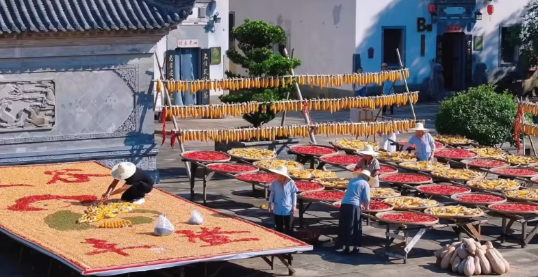 徽州晒秋美如画-华闻时空