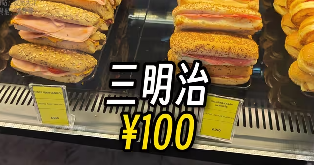 用人民币感受全球最贵机场的物价|土耳其旅游Vlog-华闻时空