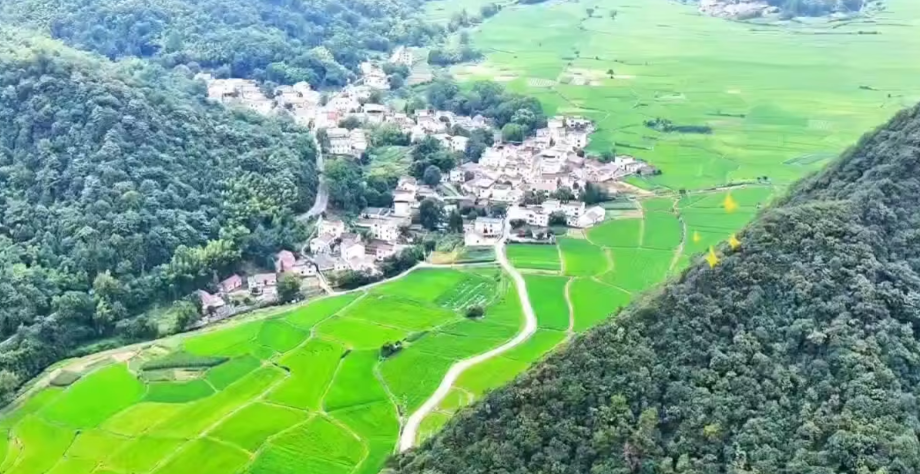 邂逅田园乡村里的绿色浪漫-华闻时空