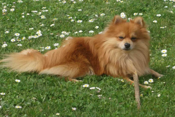 第三十七计-华闻时空