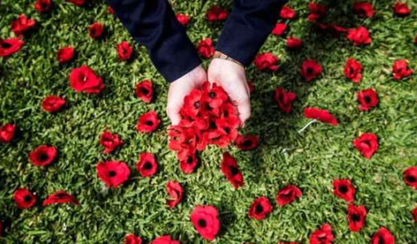 澳洲总理亲口确认，好消息要来了！-华闻时空