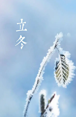 姜敏达诗歌欣赏：立冬-华闻时空