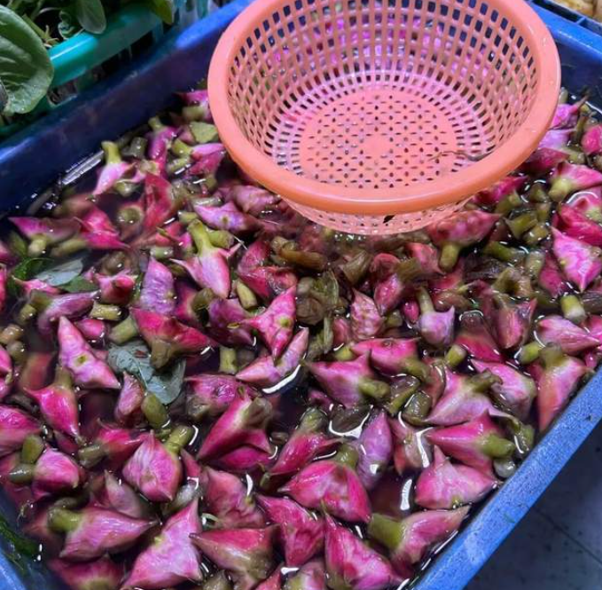 菱荇中间开一路 晓来谁过采菱船/蓬岛同题《河菱》-华闻时空