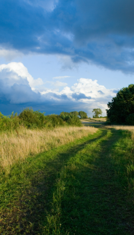 从恐惧到依赖——评冰凌幽默小说《骚扰电话》中的心理异化与荒诞寓言-华闻时空