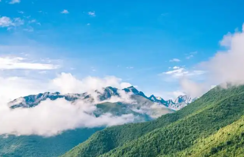 新闻的真实性探究-华闻时空