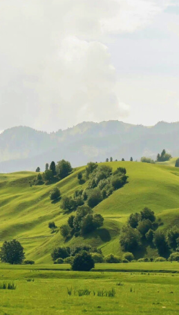 “海山哥”本色,跨文体写作的开放与创新-华闻时空