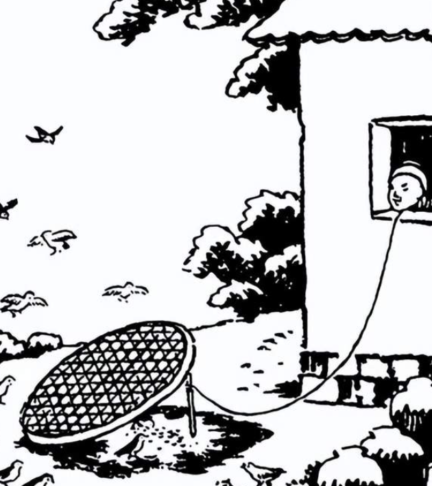 博物书写的本真性追求-华闻时空