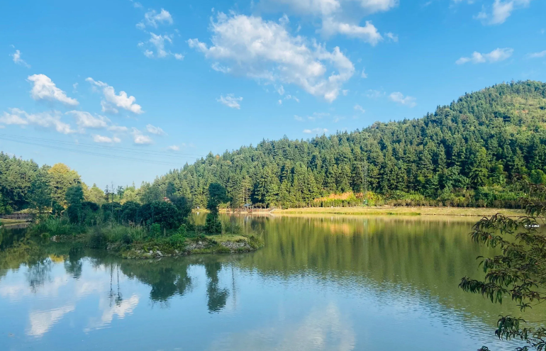 國際鄉村詩歌:天籁之音-华闻时空