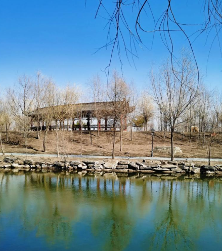 姜敏达诗歌欣赏:孤独-华闻时空