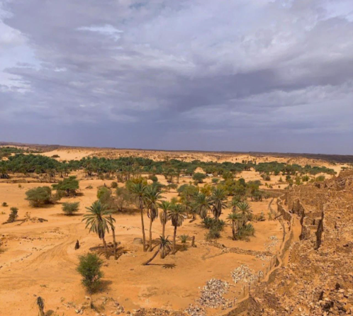 毛里塔尼亚:使馆提醒长期居留的中国公民按规定申办居留证-华闻时空