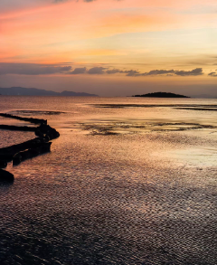 【桂清扬代朱生豪致莎士比亚】莎翁夫子钧鉴:-华闻时空